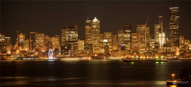 Beautiful Seattle night sky! Photo courtesy of sellers.