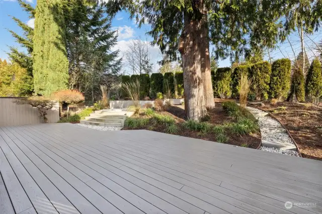 A unique opportunity to enjoy a massive outdoor deck with custom lighting, surrounded by mature trees, and fully plumbed for a BBQ—perfect for entertaining.