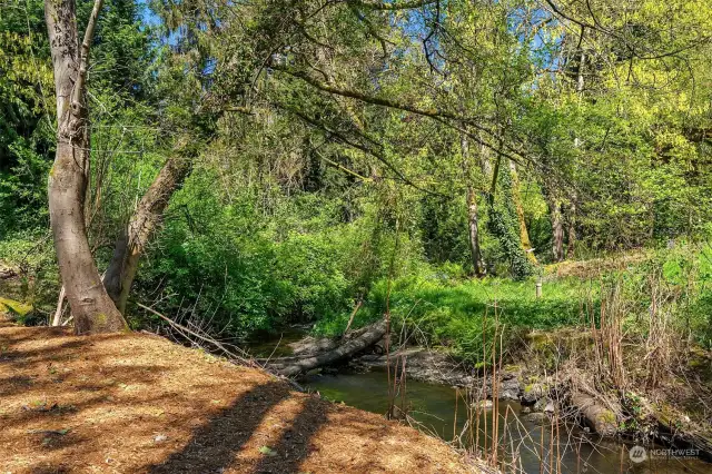 The large, 1.5 acre arboretum-like open space provides direct access to the north fork of Thornton Creek. Come sit a spell and watch the heron's fish?