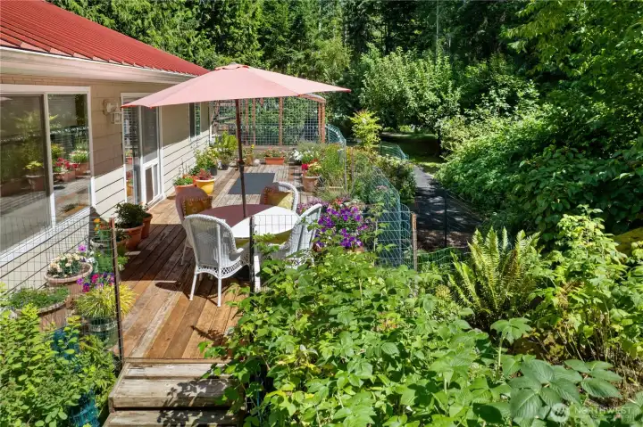 Lush greenery all around.