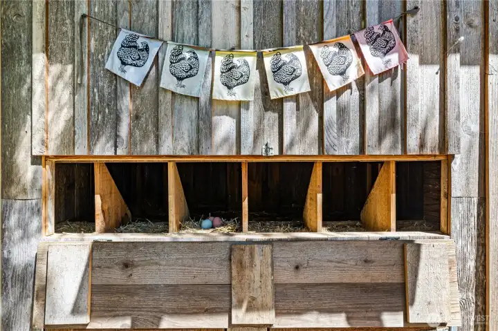 Oh... You have to see the Chicken Palace...