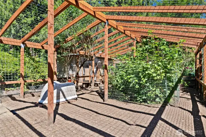 Wow - this is a chicken run! Overhead netting for Predator protection!