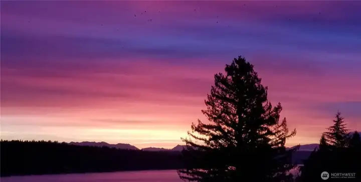 East facing Cedar Park rambler with amazing Lake Washington and Cascade Mountain views! Capture the amazing colors of the sunrise from your Living and Family Rooms!