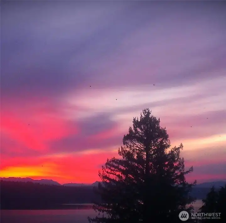 Just look at the amazing colors!