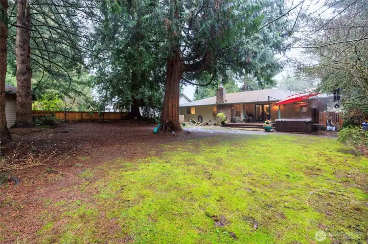 Greenbelt privacy on 2 sides of backyard.