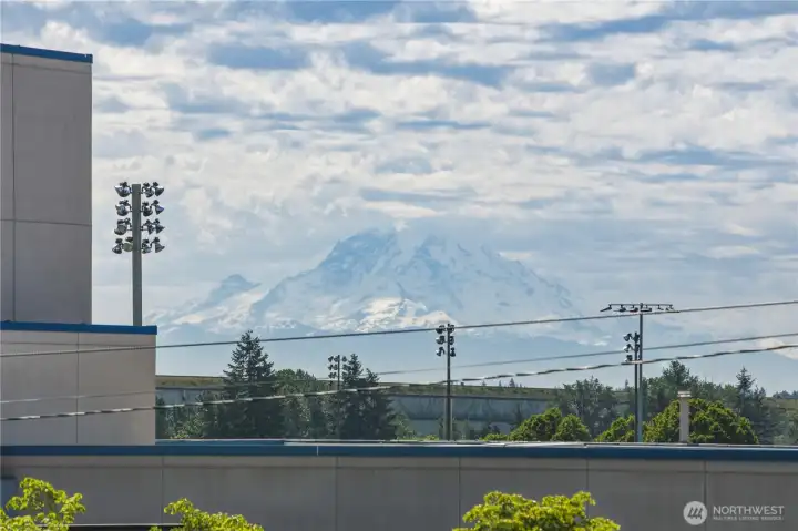 Unobstructed Mt Rainier View
