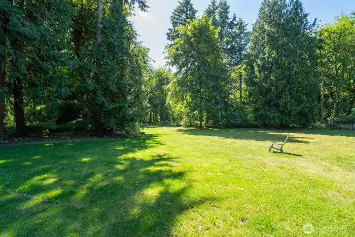 Back yard Back yard