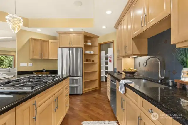 HUGE pantry behind kitchen and plenty of cabinet space for all your kitchen necessities.