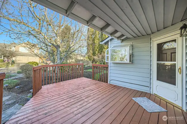 Storm door