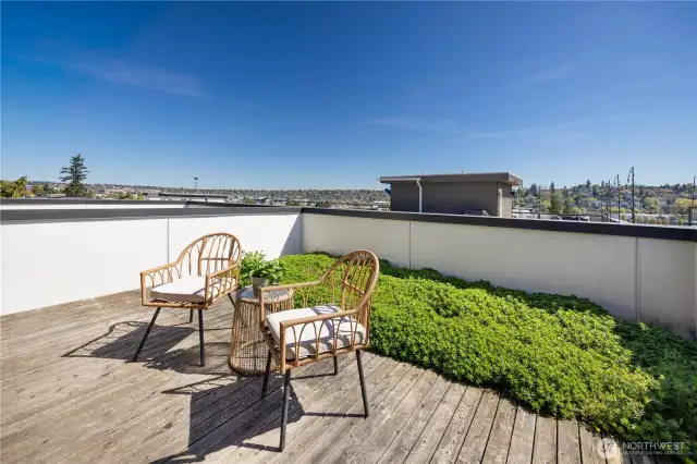 Rooftop VIEW deck with garden space