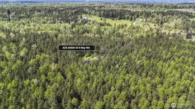 19 acres of trees, one cleared acre.