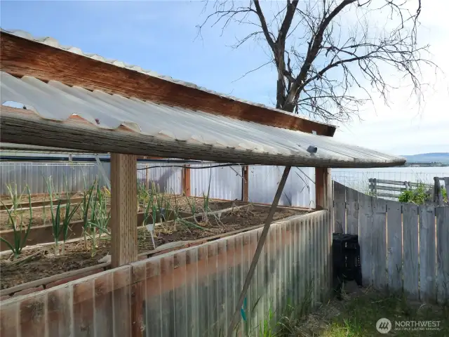 Greenhouse