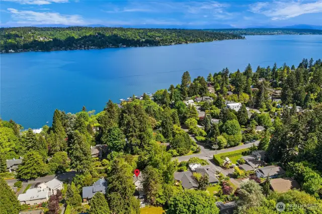 Close to Lake Washington, Parks and Burke Gilman Trail