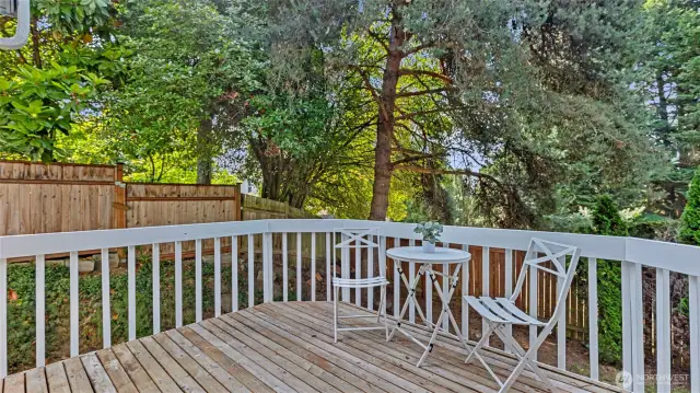 Backyard deck.