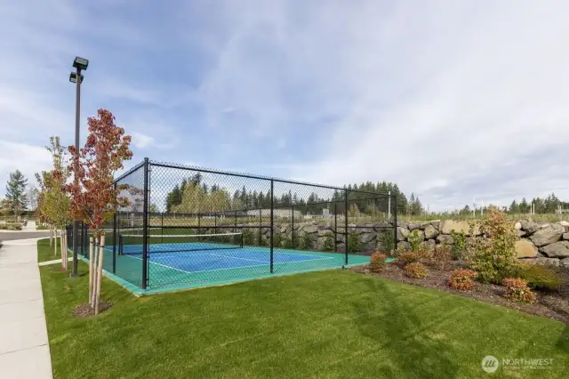 Pickleball Court