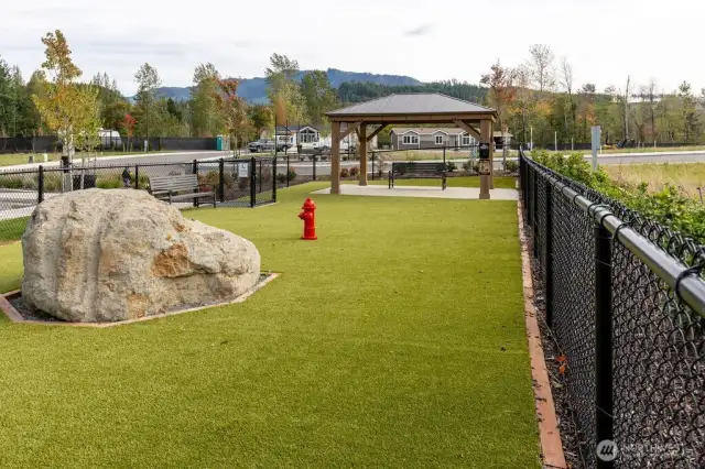 Dog Park