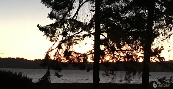View from backyard