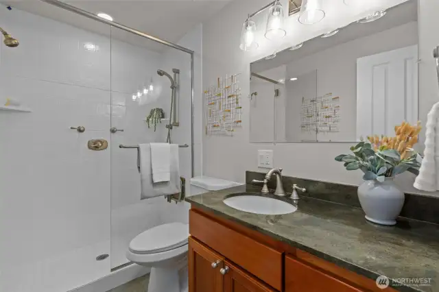 Primary bathroom.