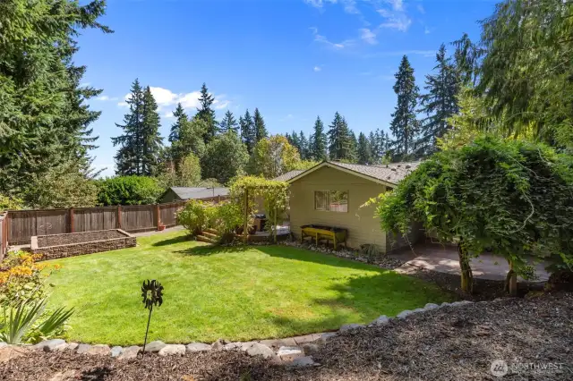 Gorgeous backyard.