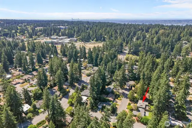 Prime location. You'll feel a world away in the Strattonwood neighborhood, but minutes from world-class tech, shopping and activities.