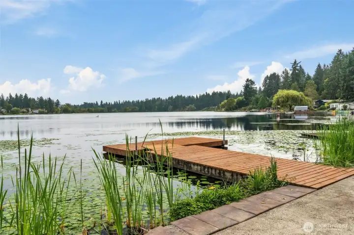 Dock
