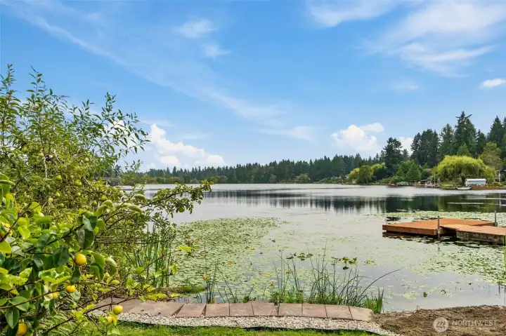 Lake, beach, and fruit trees