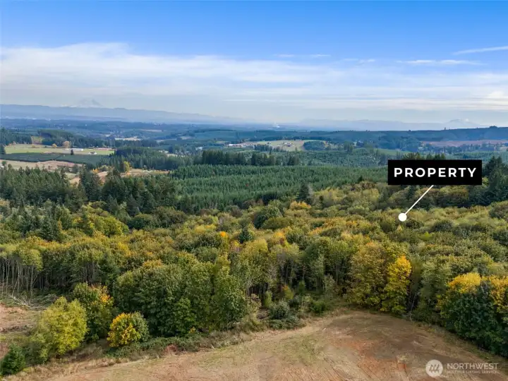 251-62 Crego Hill Rd.