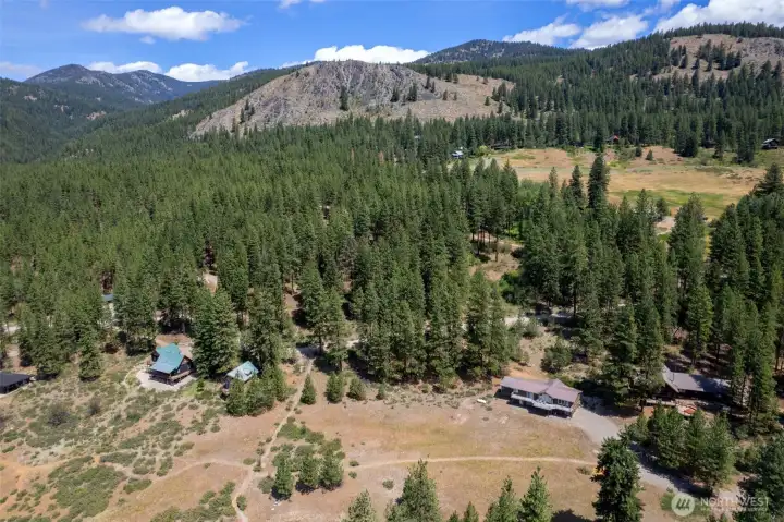 A stand of mature pines allow for privacy.