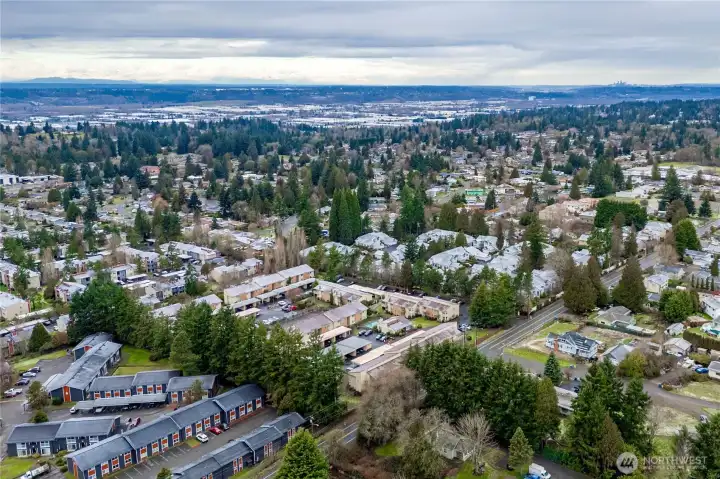 Aerial view of neighgorhood