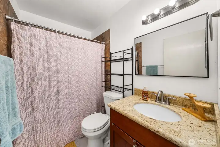 Full Hallway Bathroom