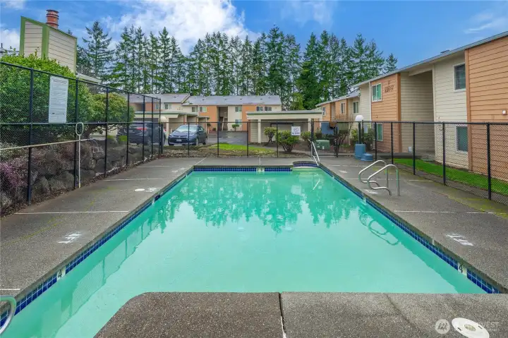 Outdoor Swimming Pool
