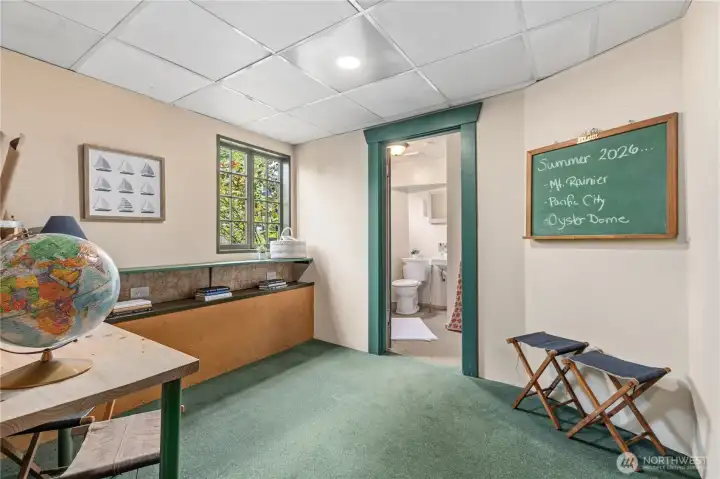 2nd Basement Bedroom