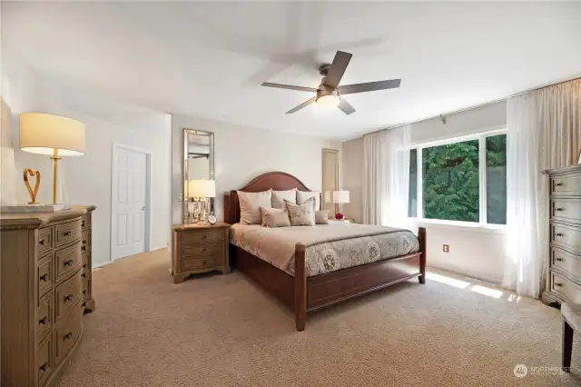 Large primary suite with a walk-in closet, ceiling fan & update primary bathroom. Views of very private backyard.