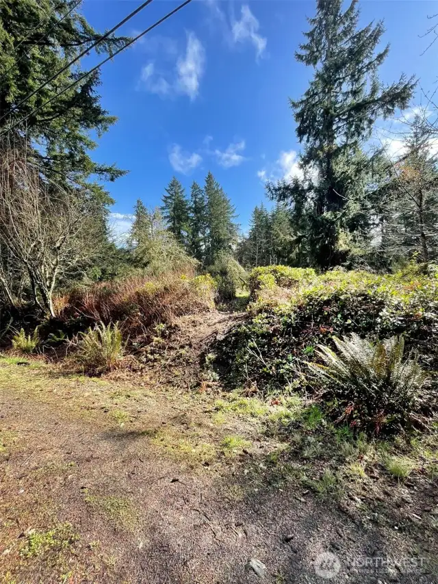 Entrance to the property off of Bank Road. Trail runs through the entire lot, passing through meadow and forest.