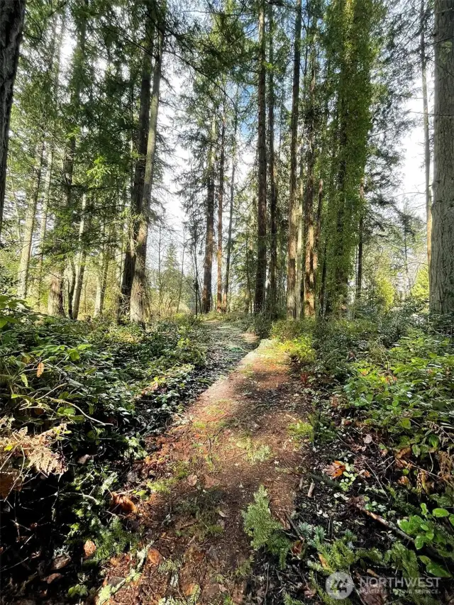 This 12+ acre parcel is both convient to town yet is very private. A great island sanctuary.