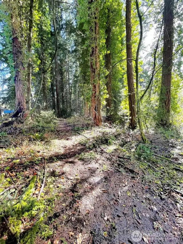 This lot is surprisingly large, come walk the trail and get to know it.