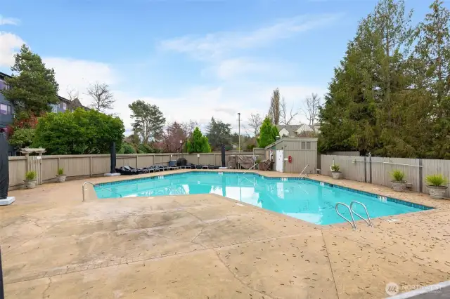 Outdoor heated pool