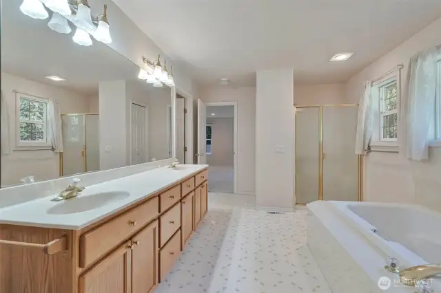 Primary 5-piece bath with soaking tub, walk in closet.