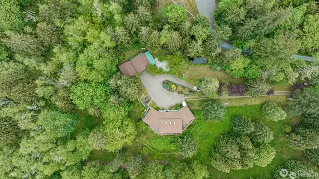 Drone Overhead