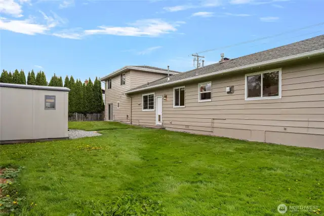 Back yard
