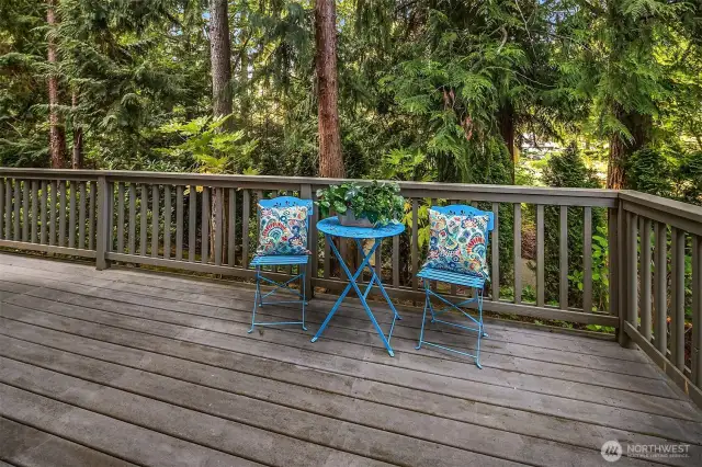 Deck overlooking a lush backdrop of mature trees.