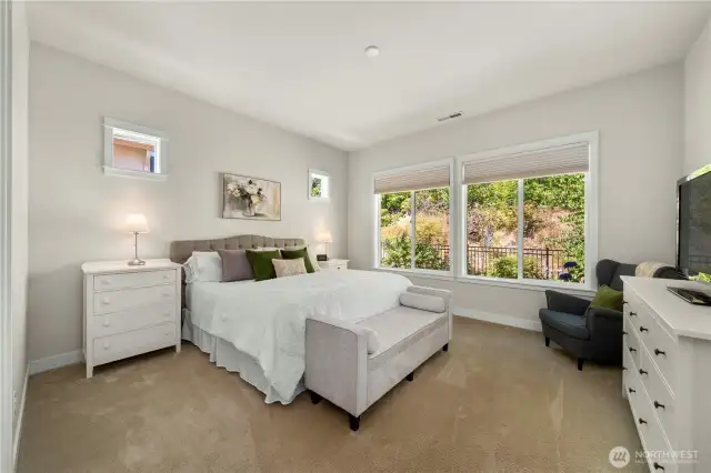 Spacious primary bedroom offers custom window coverings, fully wrapped windows (throughout) and plush carpet.