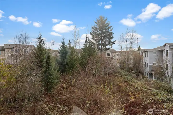 Privacy views from the side of the living and dining room.