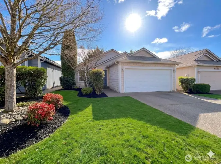 Welcome to Boulevard Heights!