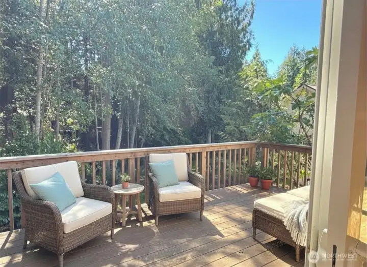 Great deck for entertaining. Virtually staged.