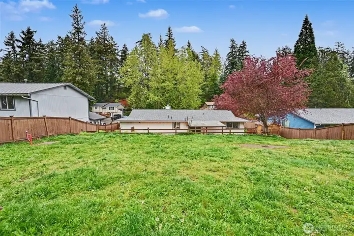 Large backyard
