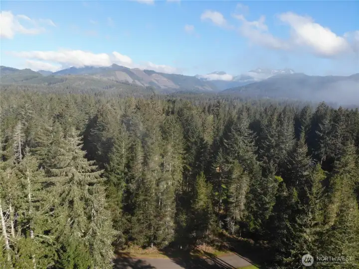 Morning fog rising from the Olympics