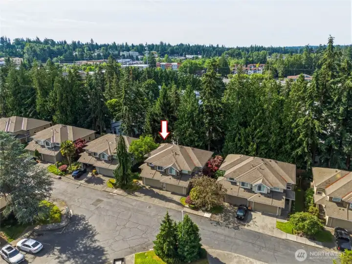 Peaceful residential setting surrounded by mature trees and established neighborhoods.