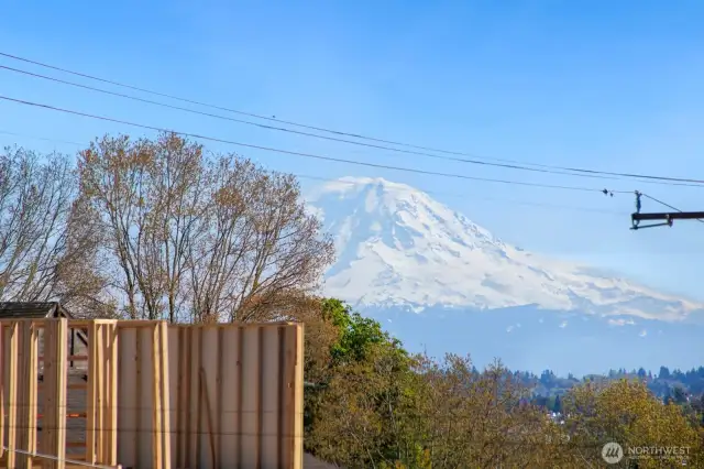 Mt. Rainier