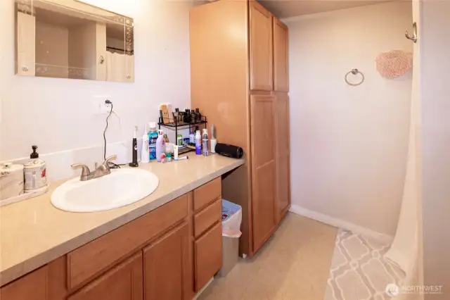 Lower Level Bathroom